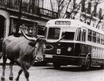 5022 toro.jpg