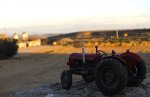 _DSC0146b.jpg